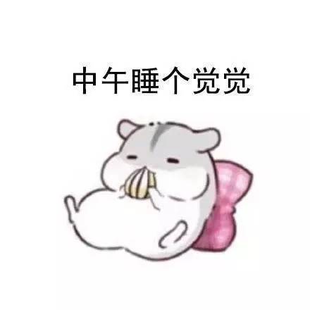 你和别人五一假期的区别