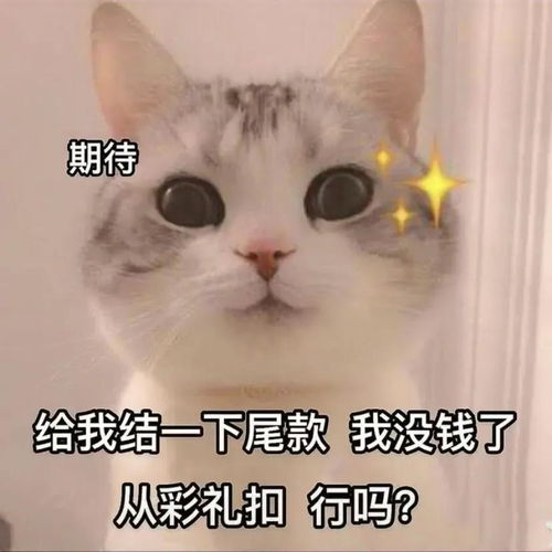 十条笑话我没事,我是带孩子看病,可我把他忘家里了