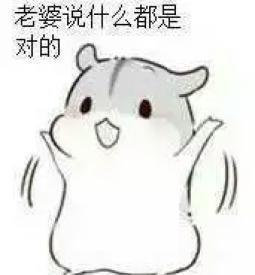 哄老婆表情包老婆大人对不起好喜欢老婆我老婆超级可爱