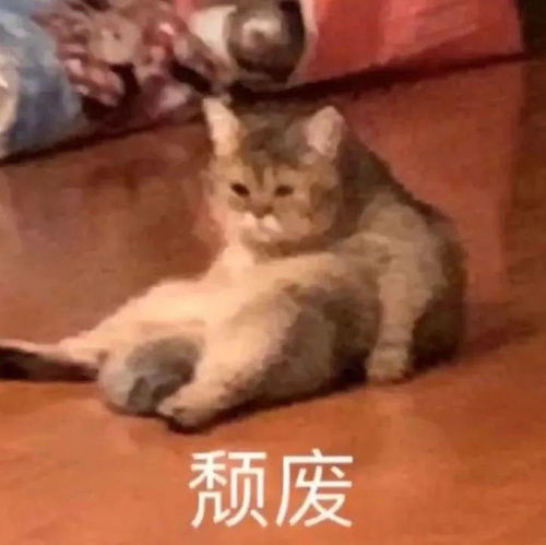 近期热图,斗图表情