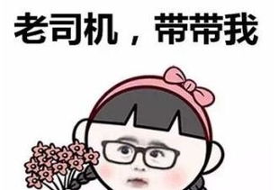老司机无所畏惧表情包