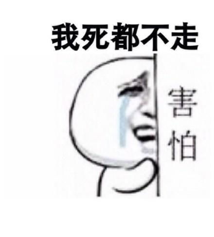 每日爆笑老师同学们,如果你们可以变成一种植物你想变成哪种