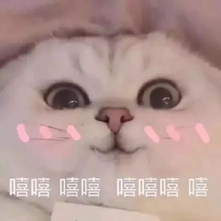 您的寒假作业已经到账点击领取