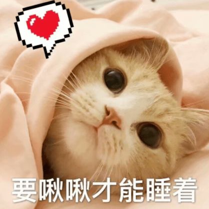 赛场黑马来必战,战必55开,这支四强队伍可不简单