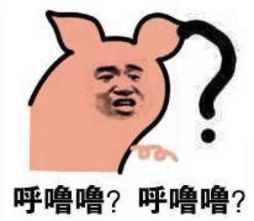 污问号表情包免职