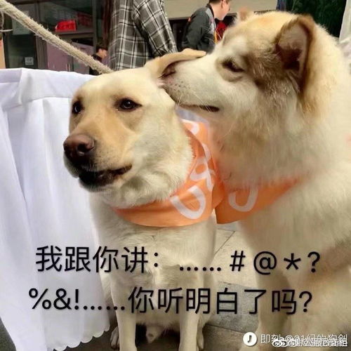 震惊,打开首页我还以为吃过了包子会怀孕