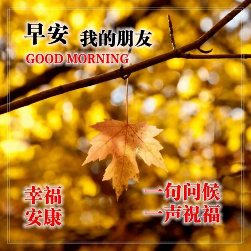 秋冬早上好问候语图片合集,2020初冬早晨好祝福语表情句子