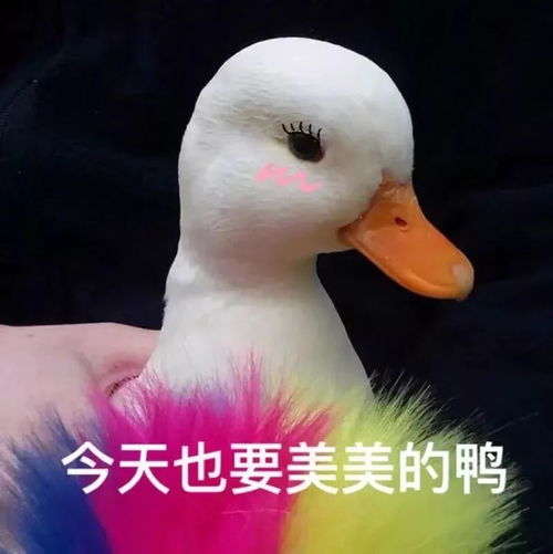 备婚攻略从时间规划到婚品准备....这里附上最全的干货清单
