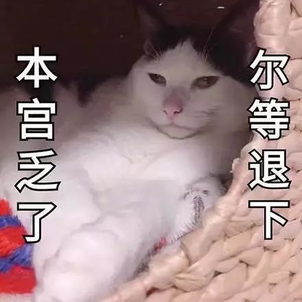 表情包丨我告诉自己再熬一熬