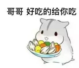 可爱仓鼠兄妹表情包