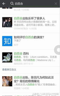 微信搜索白百合与出轨,结果大开眼界