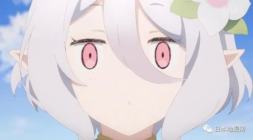 妈宝骑士降临异世界,这部动画竟让观众向11岁萝莉叫妈