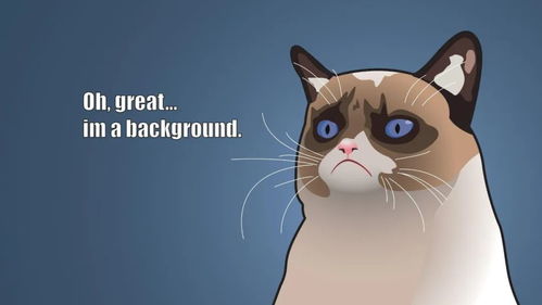 curiositykilledthecat,猫虽有九条命,但好奇却能害死它