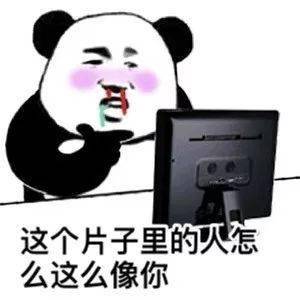 今日份熊猫头表情包