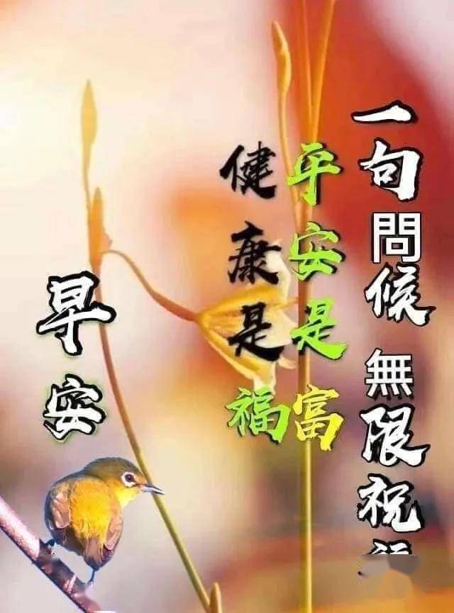 早晨安好每天开心笑,累了就睡觉,醒了就微笑,早安