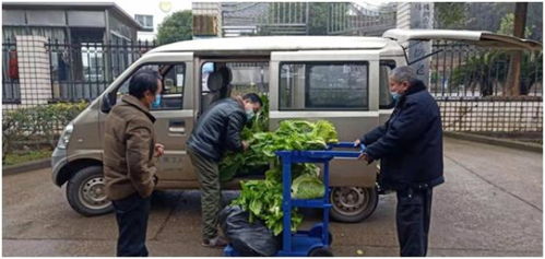 点赞他摘下500斤新鲜蔬菜送给敬老院的孤寡老人