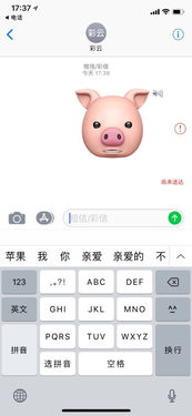 苹果手机短信表情语音功能发不出去也收不到,该怎么办