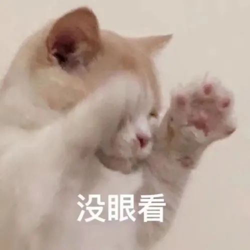 猫咪猥琐动作排行榜,踩奶居然排第一