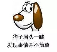 qq宠物停运,网友直呼舍不得,还有这些回忆杀,总有一个让你飙泪