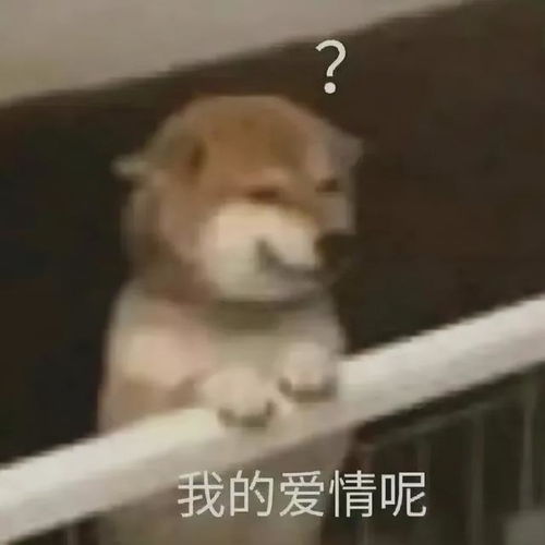 热爱生活的打工人能有多酷网友评论当场看傻