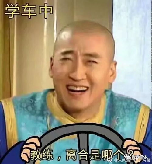 驾考表情包学车