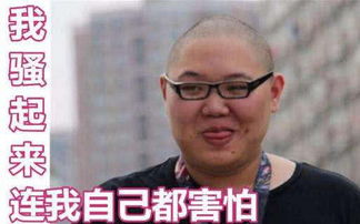 pdd即将在斗鱼平台重开直播,网友调侃骚猪这次真的是失算了啊