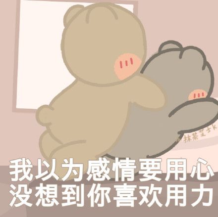 坏坏坏表情包图片猫咪
