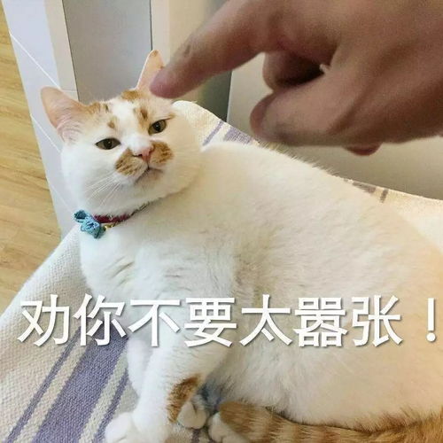走亲戚斗智斗勇必背句型,拿走不谢