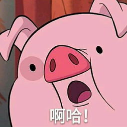 怎么把一张图分割成六张