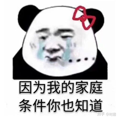 选机说3000价位有哪些5g手机值得买