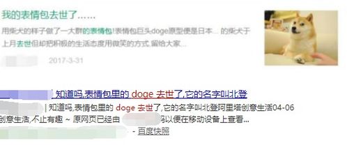 表情包里的神烦狗doge,现在过得怎么样