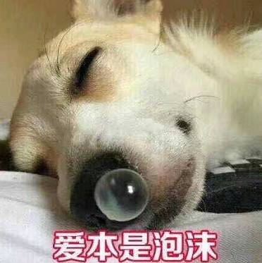 写完获奖名单的我,牛气坏了叉会儿腰搜狐娱乐搜狐网