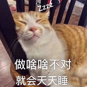 正经网友绝对刷不到的绝版沙雕表情包