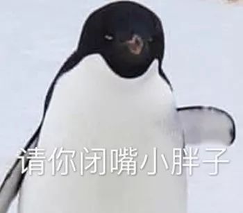 沙雕小动物表情包越可爱,越萌,越骚