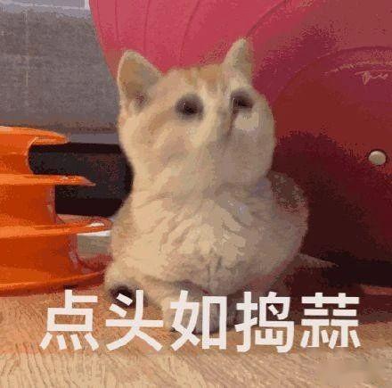 微信群突然有美女免费教你画画