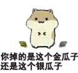瓜子仓鼠系列oo
