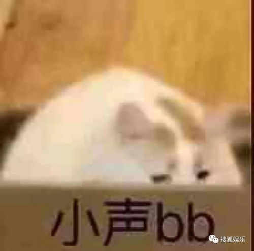 娱乐日报沙宝亮出轨蔡徐坤歌词遭魔改赵丽颖中餐厅表现引争议