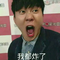 你有什么林俊杰的表情包