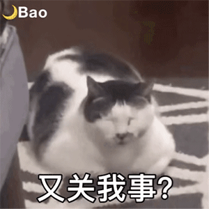 斗图必备沙雕表情包