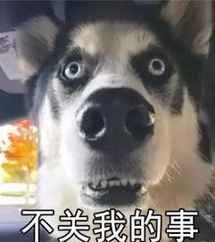 斗图小表情3.30