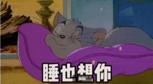谁也想你不睡也想你表情包丨这是你要的猫和老鼠表情包吗