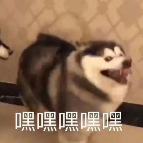 没错这绝对是干货信我