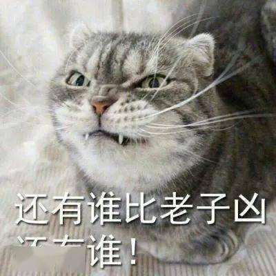 表情包清醒知趣,保持自信