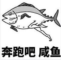 咸鱼表情包斗图咸鱼表情包高清版下载咸鱼斗图表情飞翔下载