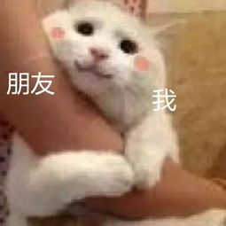 抱大腿图片表情包可爱头像