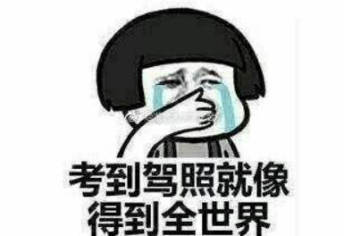 团团有话说那些年我们一起学过的车遇上驾考新规8.118.18
