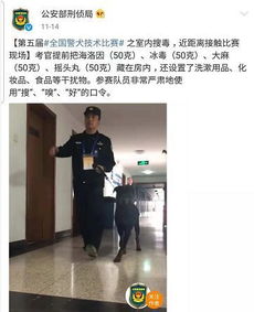 贴创可贴警犬走红,表情包都出了网友这是男子汉的勋章