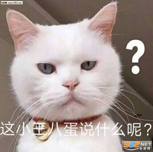 别再说了我要被气死了表情包这小王八蛋说什么呢表情包图片下载乐游网游戏下载
