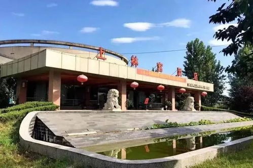 西安2000年代的28张照片