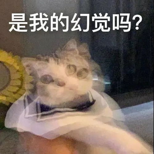 快手gif表情包大全反噬